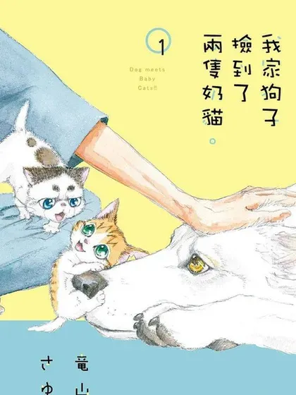 我家狗子捡到了两只奶猫封面