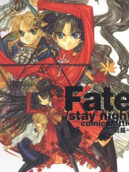 Fate/stay night 血战篇封面