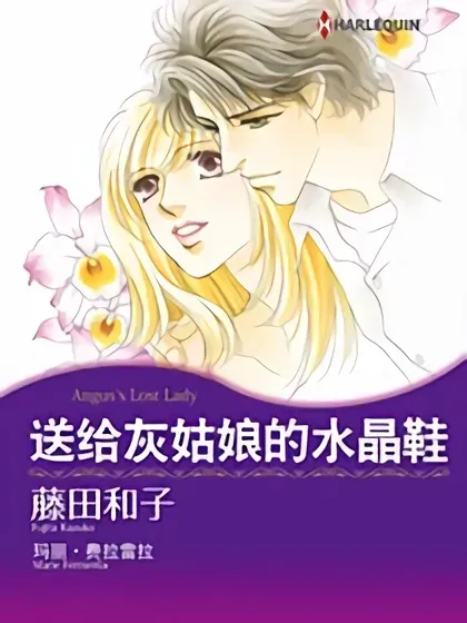 送給灰姑娘的水晶鞋（禾林漫画）封面