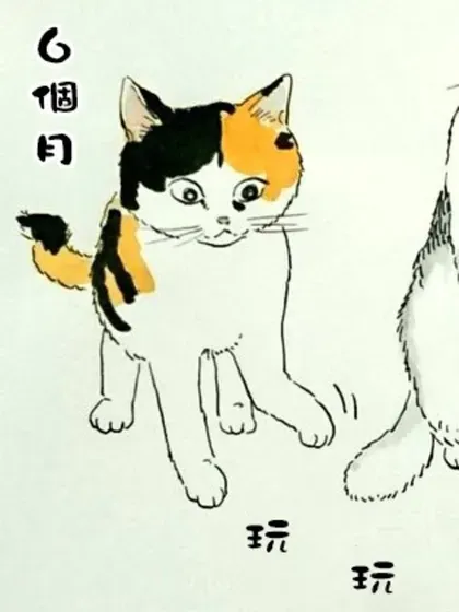 我曾经巨讨厌猫来的封面