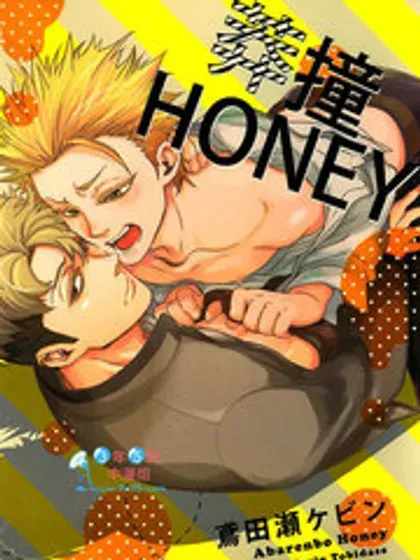 莽撞HONEY封面