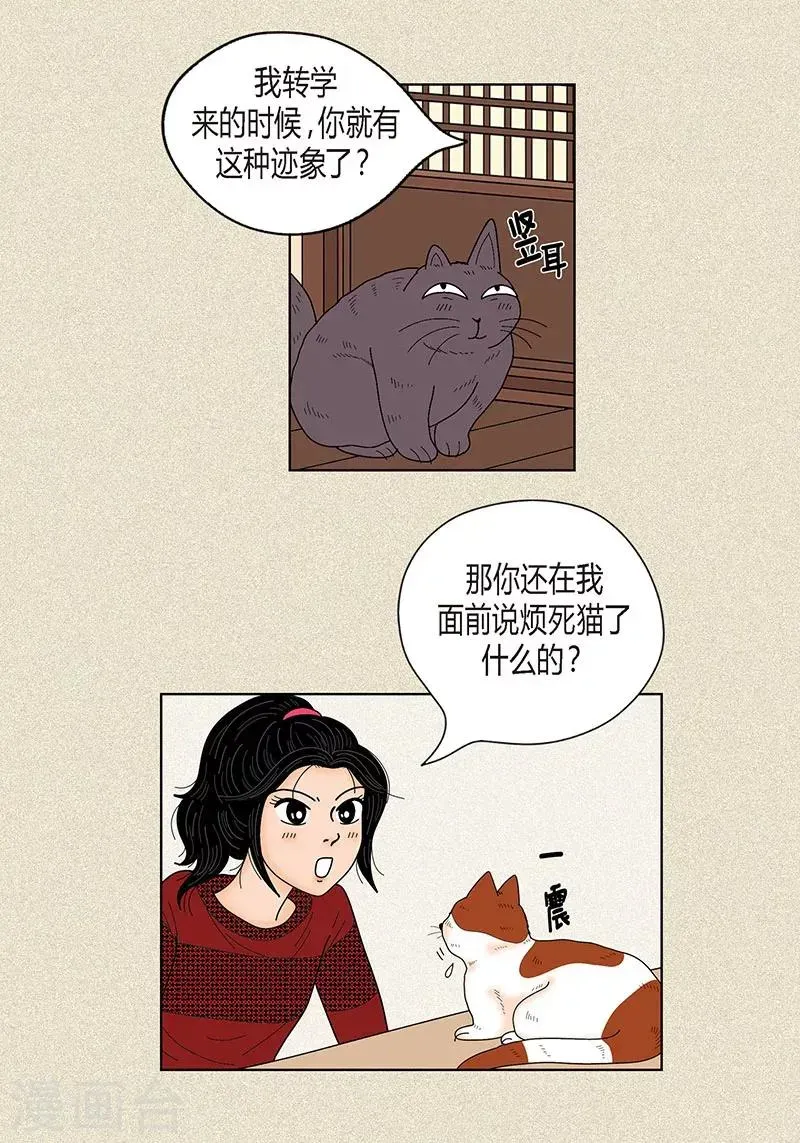 猫王子 第29话 调查 第17页