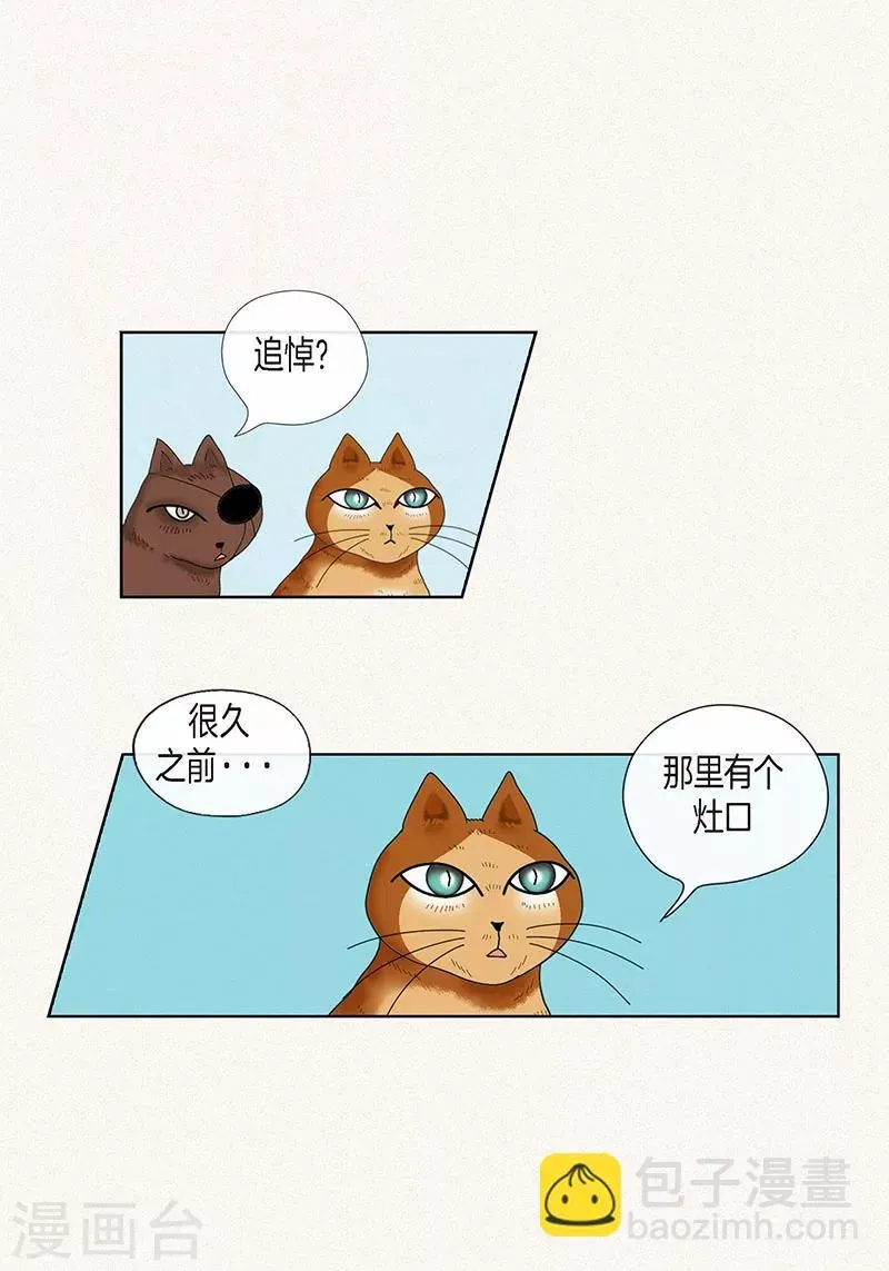 猫王子 最终话 成功 第41页