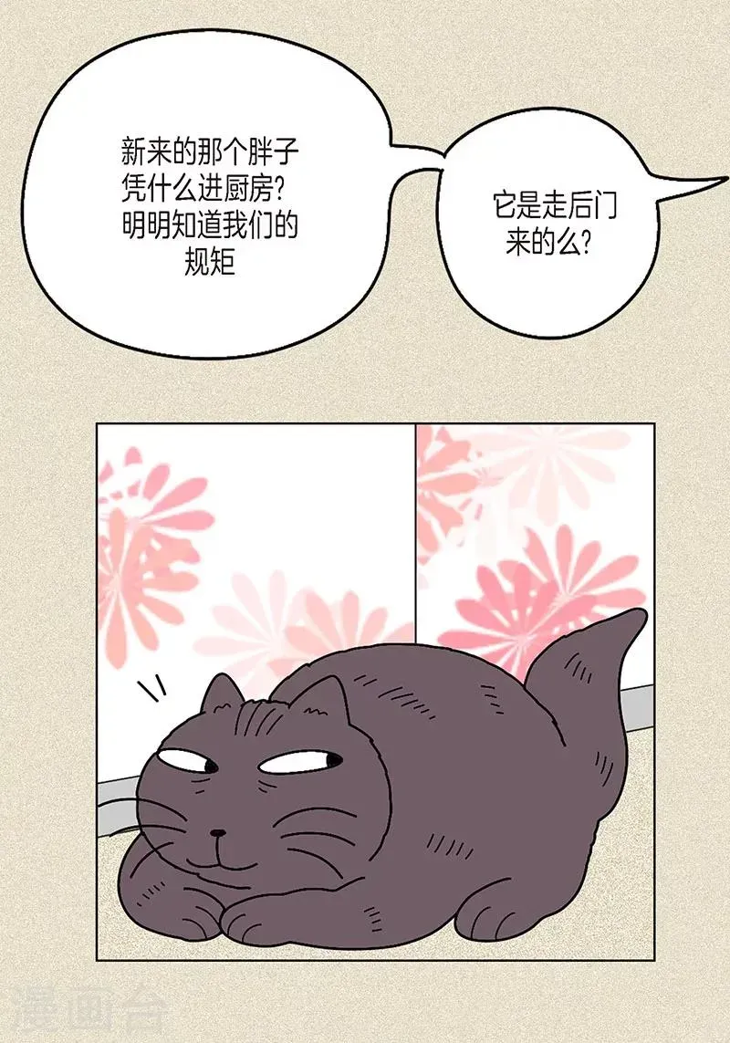 猫王子 第9话 走后门的油条 第9页