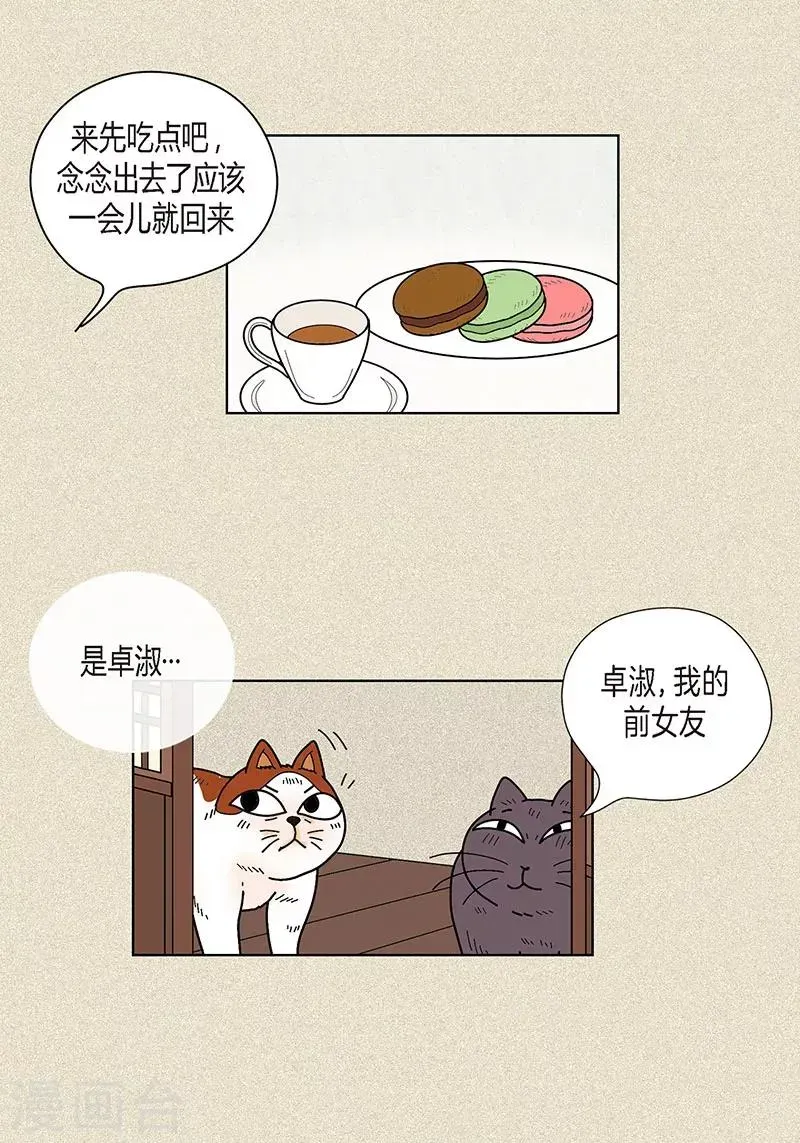 猫王子 第33话 我要和她结婚 第20页