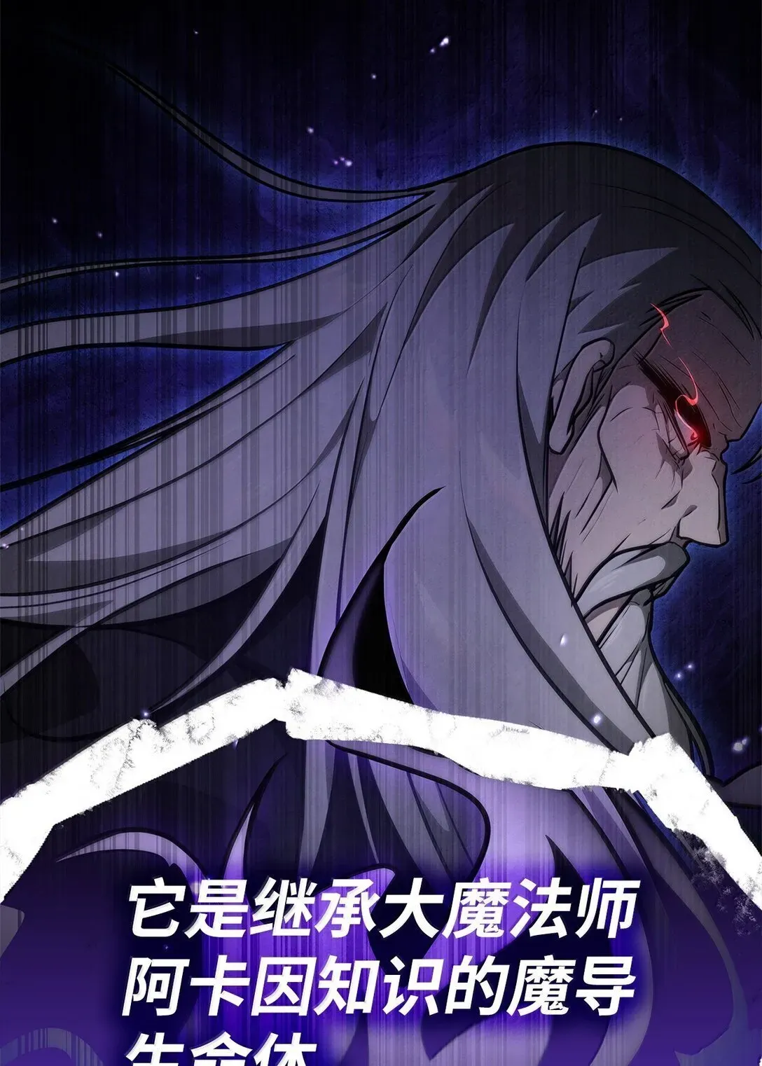 无限魔法师 75 魔导生命体 第23页