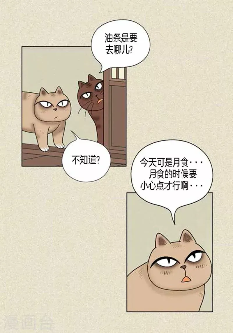 猫王子 第37话 习天的执着 第41页