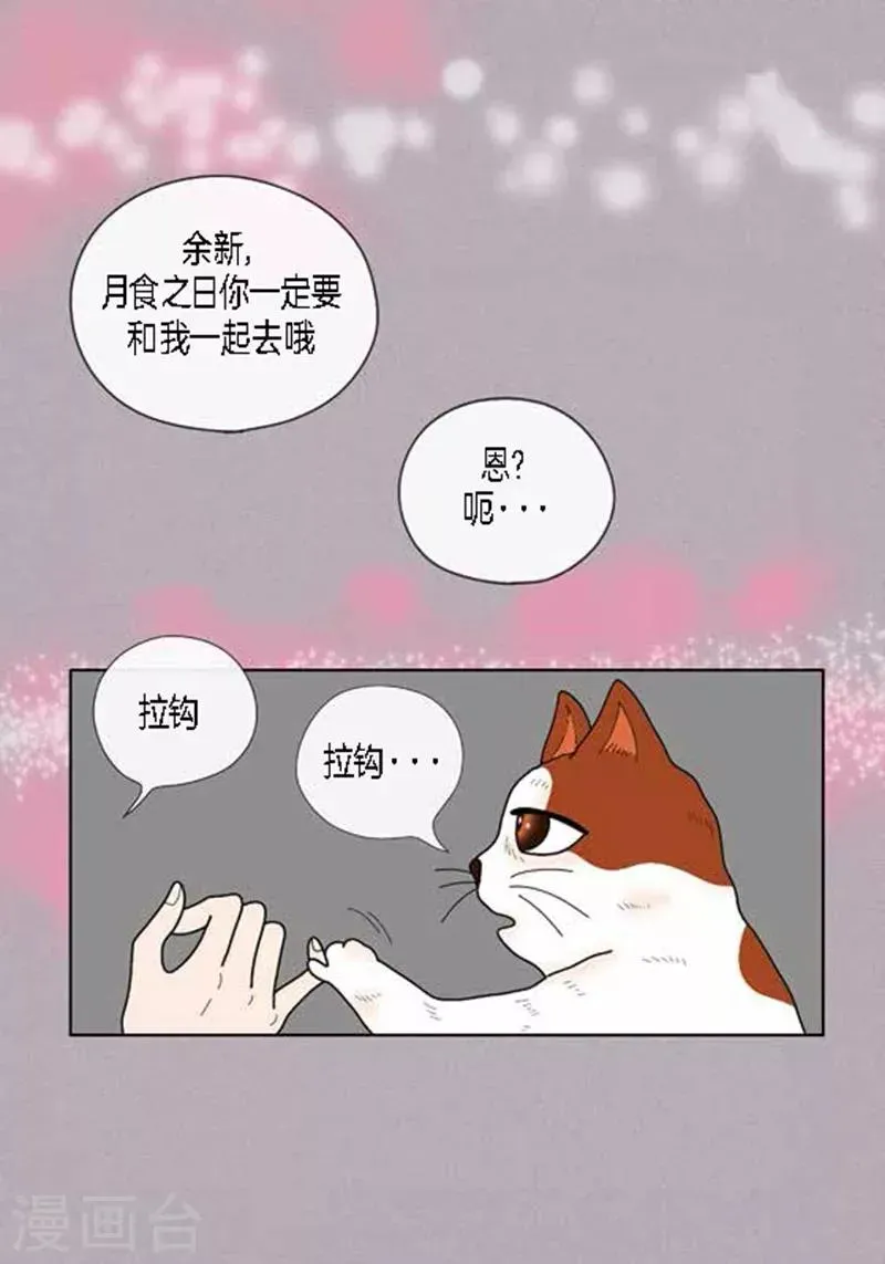 猫王子 第64话 回忆与现实 第26页