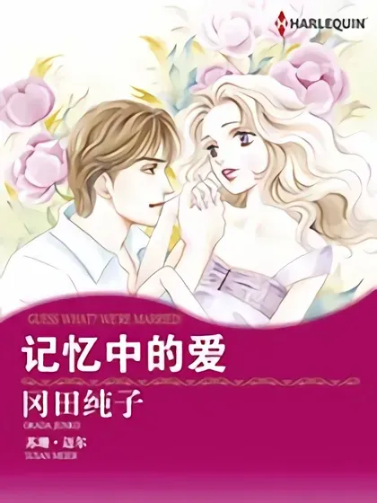 记忆中的爱（禾林漫画）封面