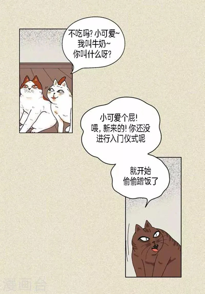 猫王子 第37话 习天的执着 第9页