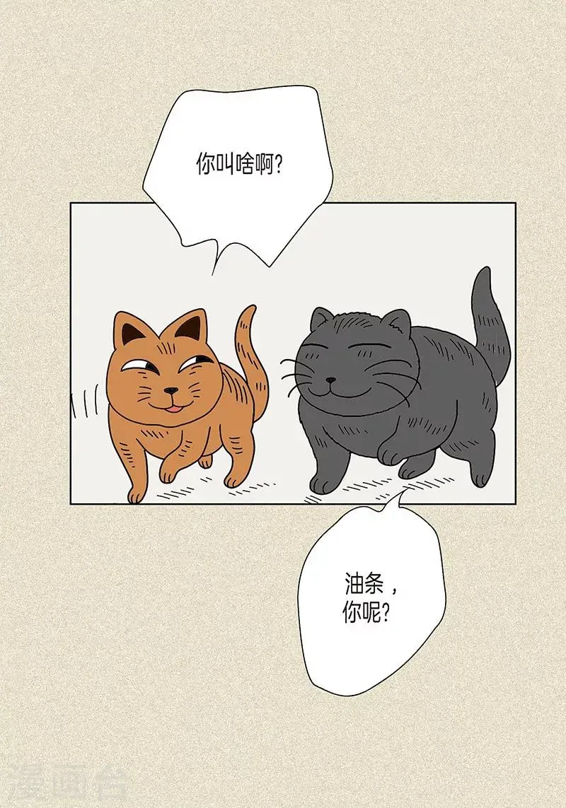 猫王子 第3话 被捉弄 第41页