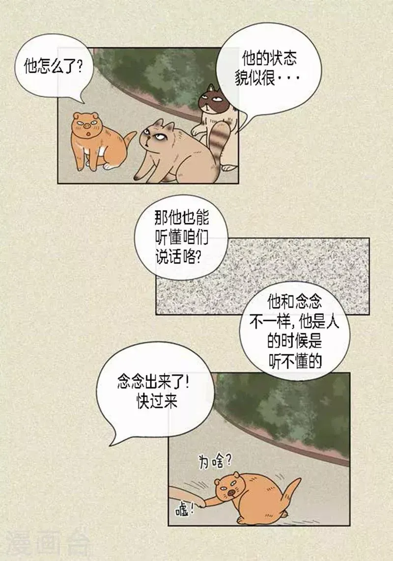 猫王子 第48话 妈妈的心事 第9页