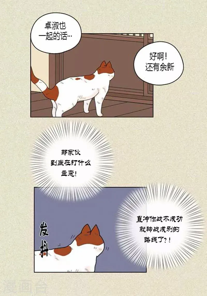 猫王子 第37话 习天的执着 第16页