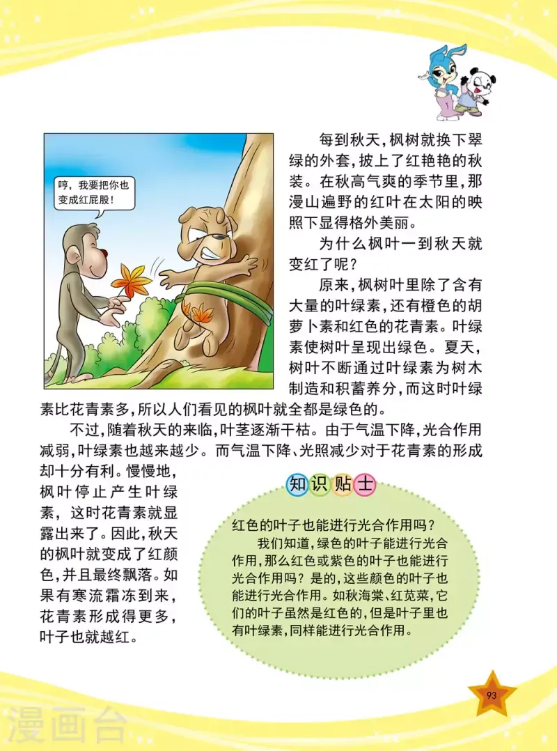 虹猫蓝兔十万个为什么之植物卷 第11话 第6页