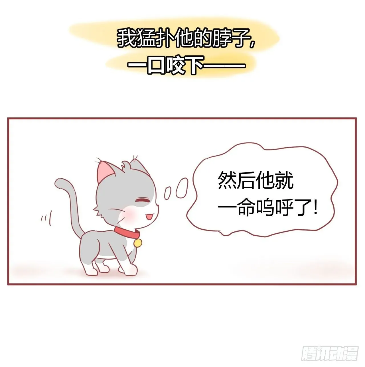 喵声入夏 04.小喵不乖 第3页