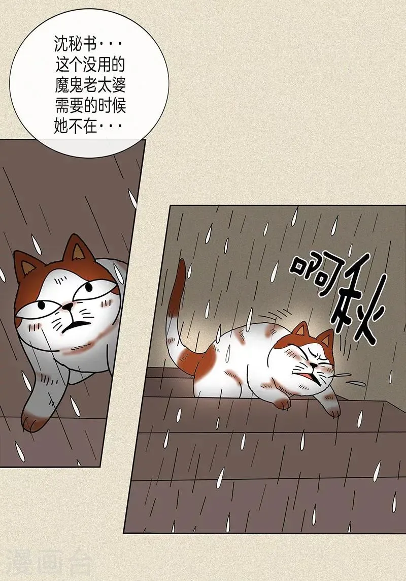 猫王子 第9话 走后门的油条 第29页