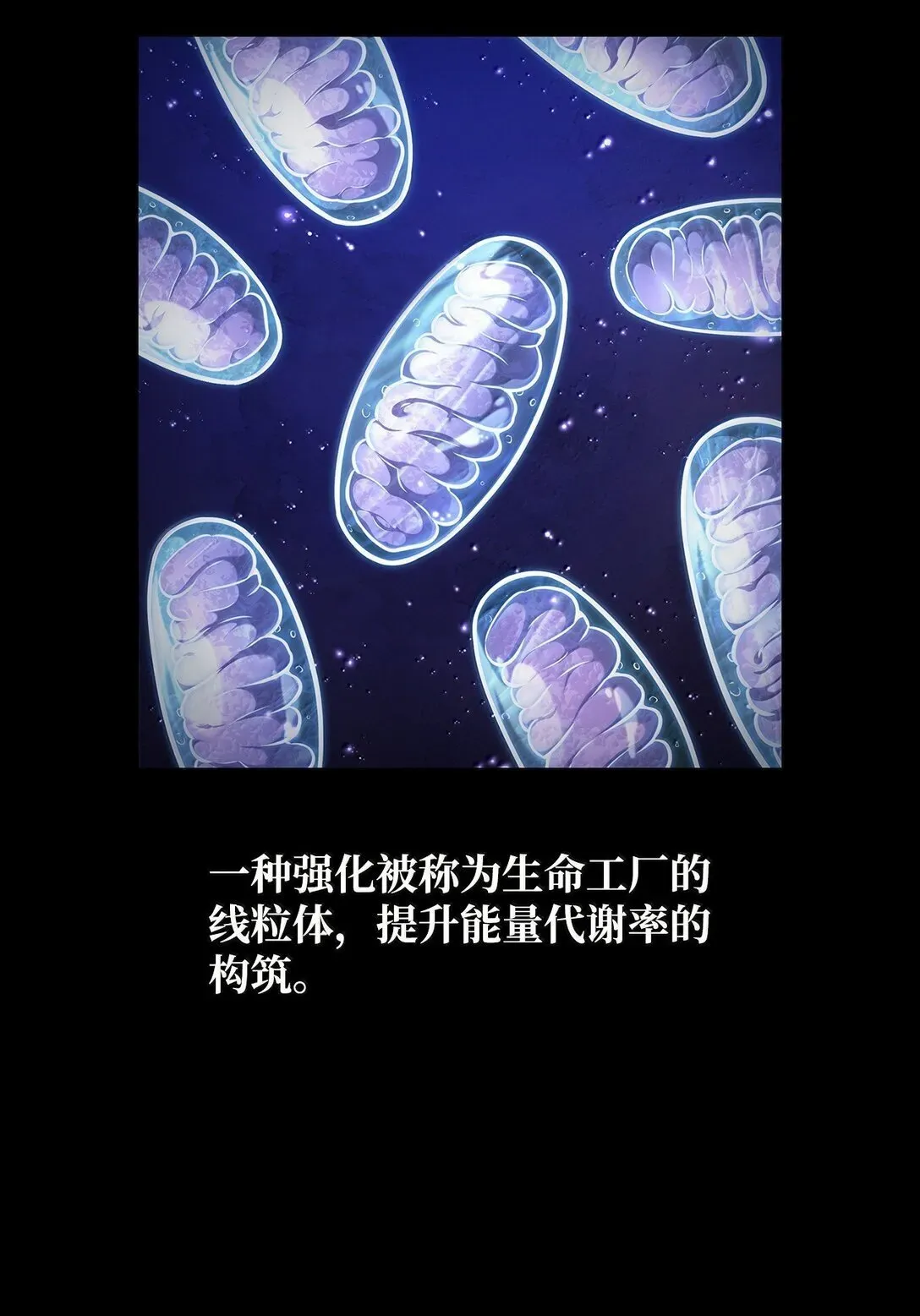 无限魔法师 76 线粒体构筑 第31页