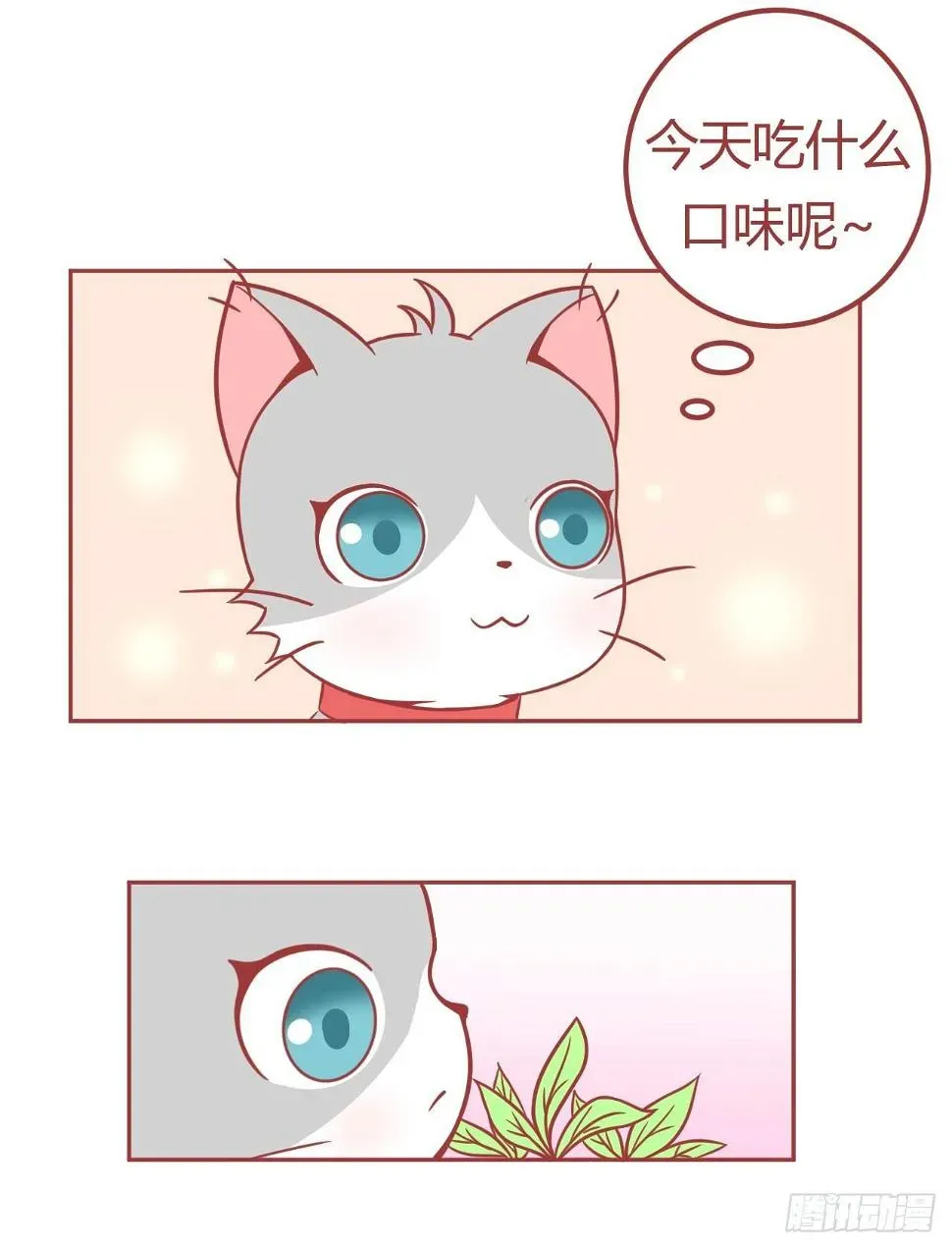 喵声入夏 14.猫草已到！求主子宠幸！ 第8页