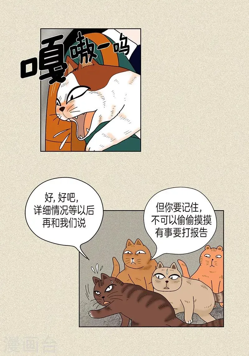 猫王子 第32话 爸爸来了 第29页