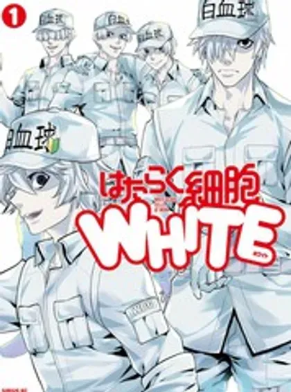 工作细胞WHITE封面