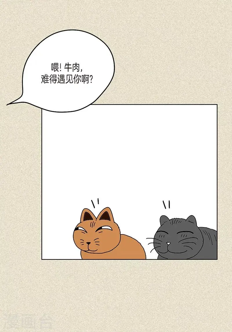 猫王子 第3话 被捉弄 第42页