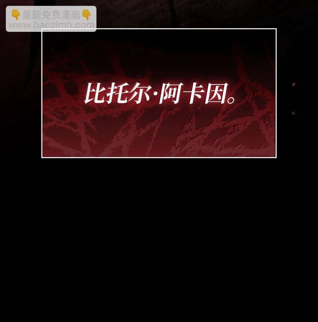 无限魔法师 66 暗黑魔法 第85页