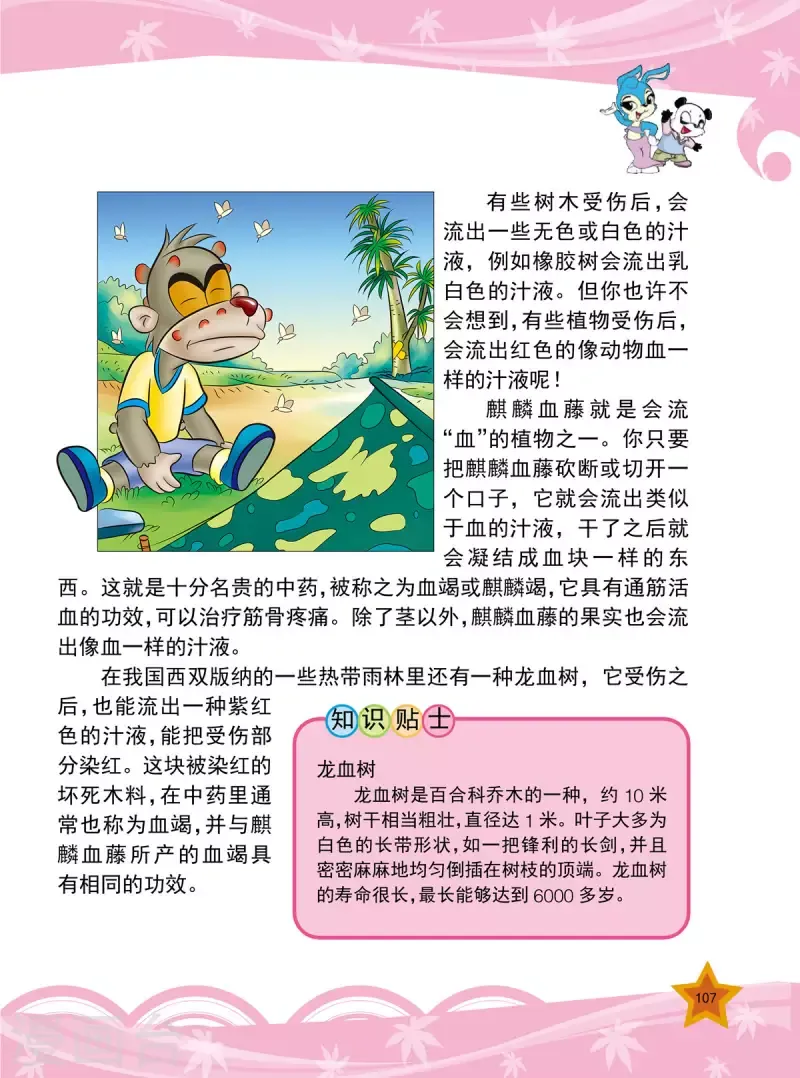 虹猫蓝兔十万个为什么之植物卷 第13话 第4页