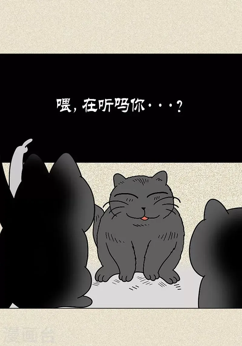 猫王子 第3话 被捉弄 第40页