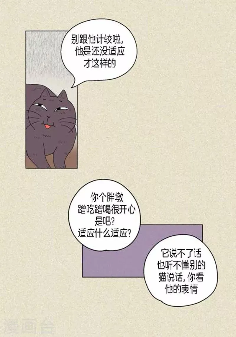 猫王子 第37话 习天的执着 第10页