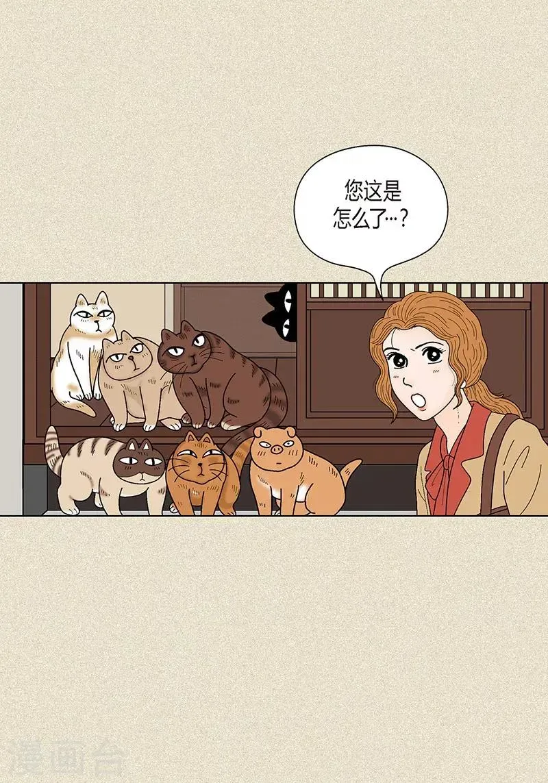 猫王子 第33话 我要和她结婚 第3页