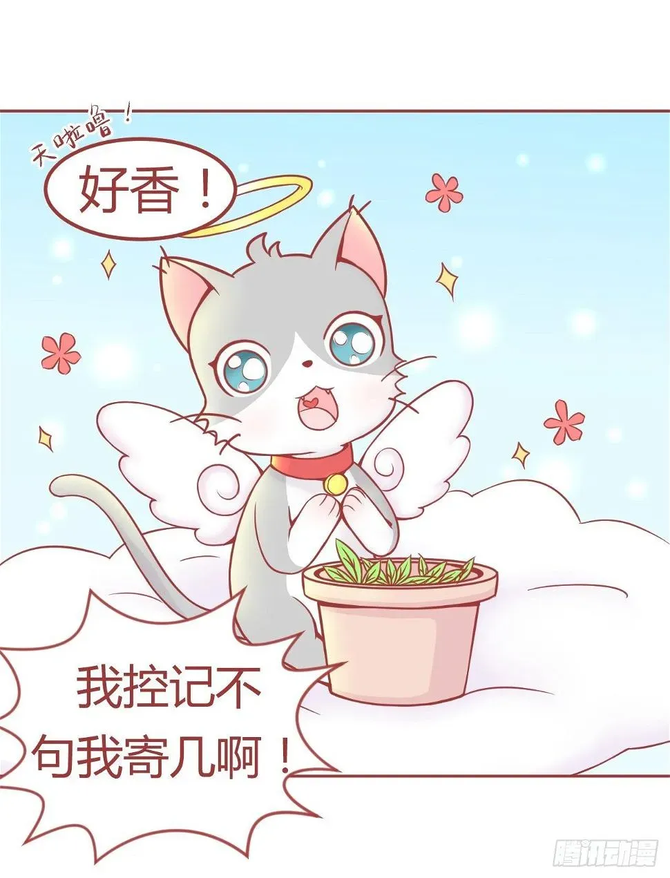 喵声入夏 14.猫草已到！求主子宠幸！ 第9页