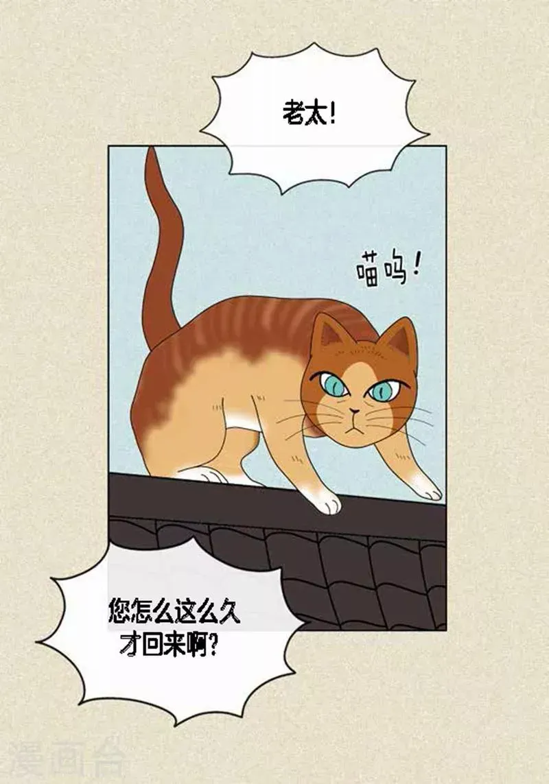 猫王子 第45话 猫王子的下一个目标 第23页