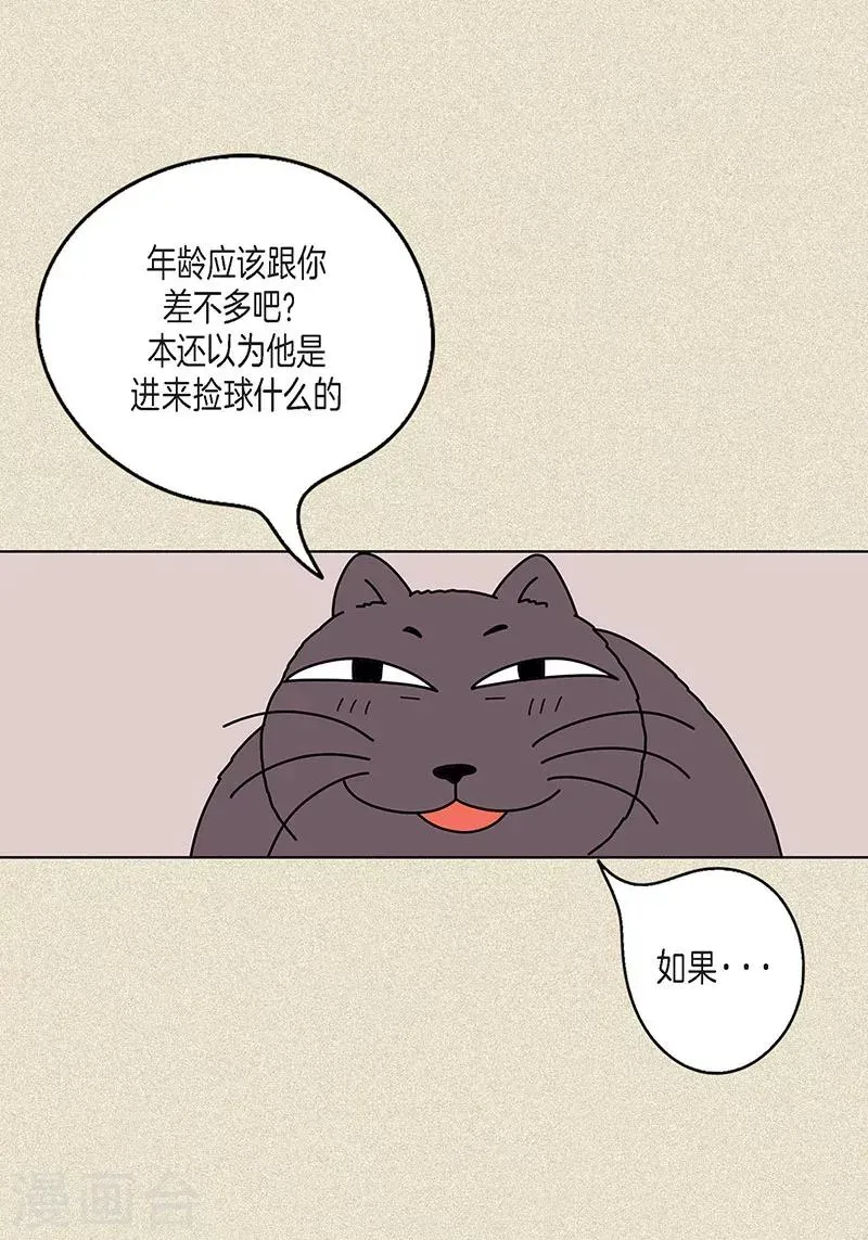 猫王子 第11话 寻找犯人 第25页