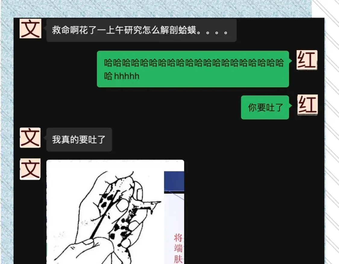 告白 告白路透社！ 第13页