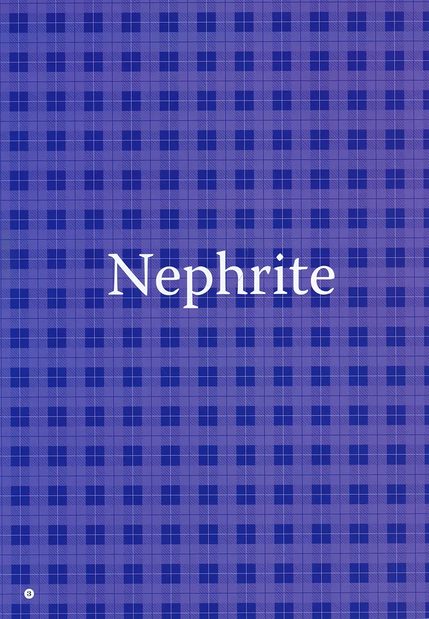 海王星系列收录 Nephrite 第2页