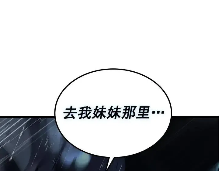 我独自升级 第118话 全速！ 第262页