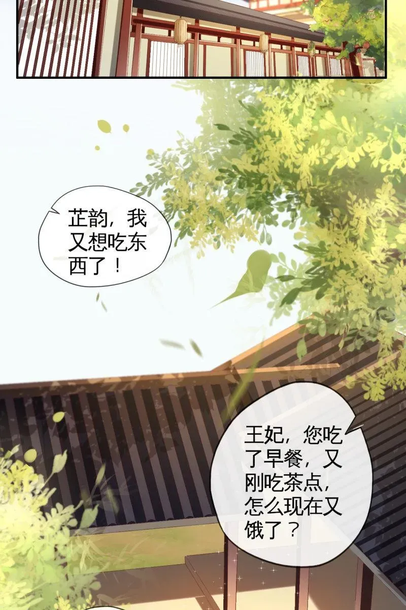 半妖王妃 王妃怀孕了！？ 第11页