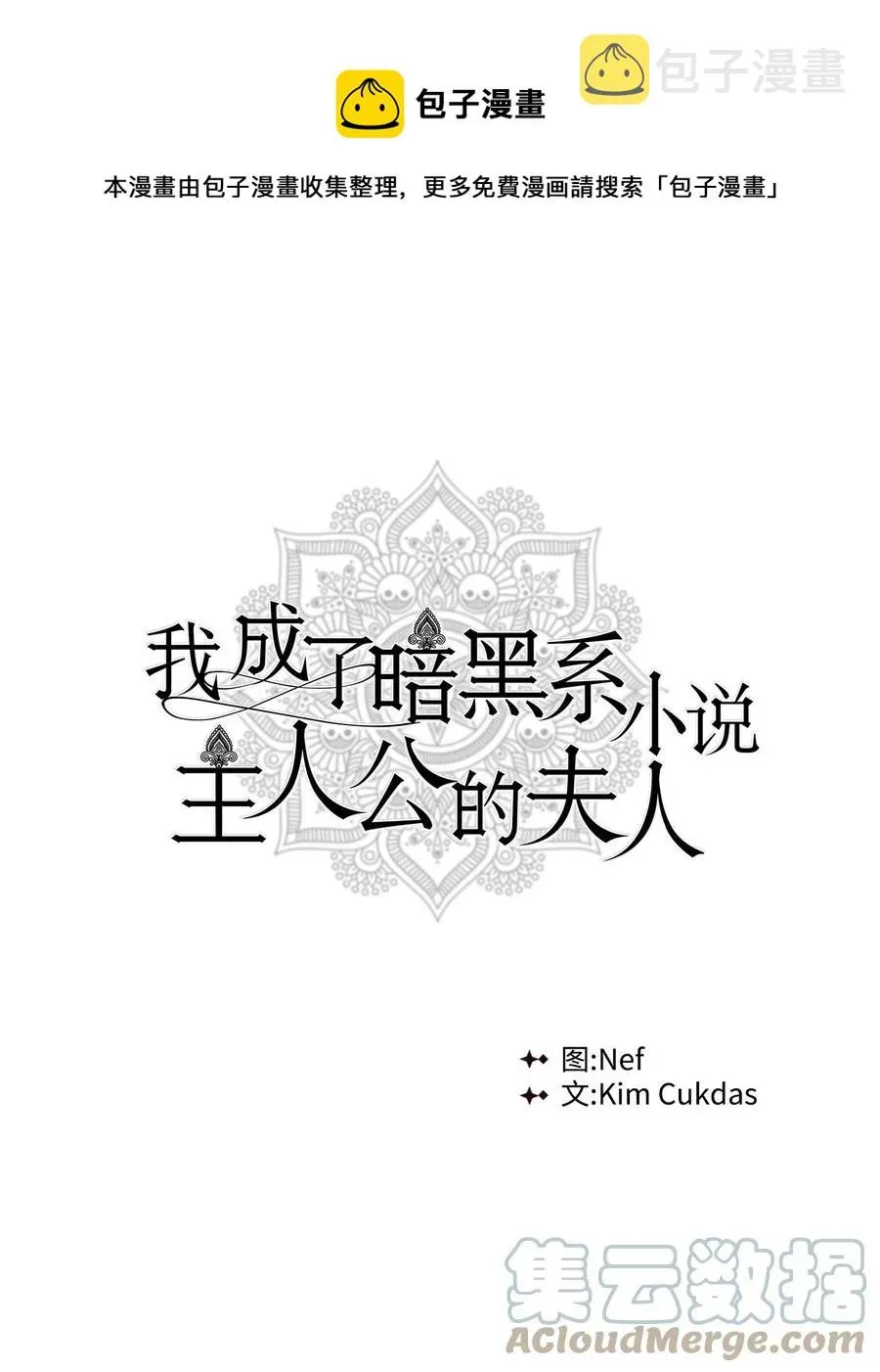 我成了暗黑系小说主人公的夫人 40 作伪证 第1页