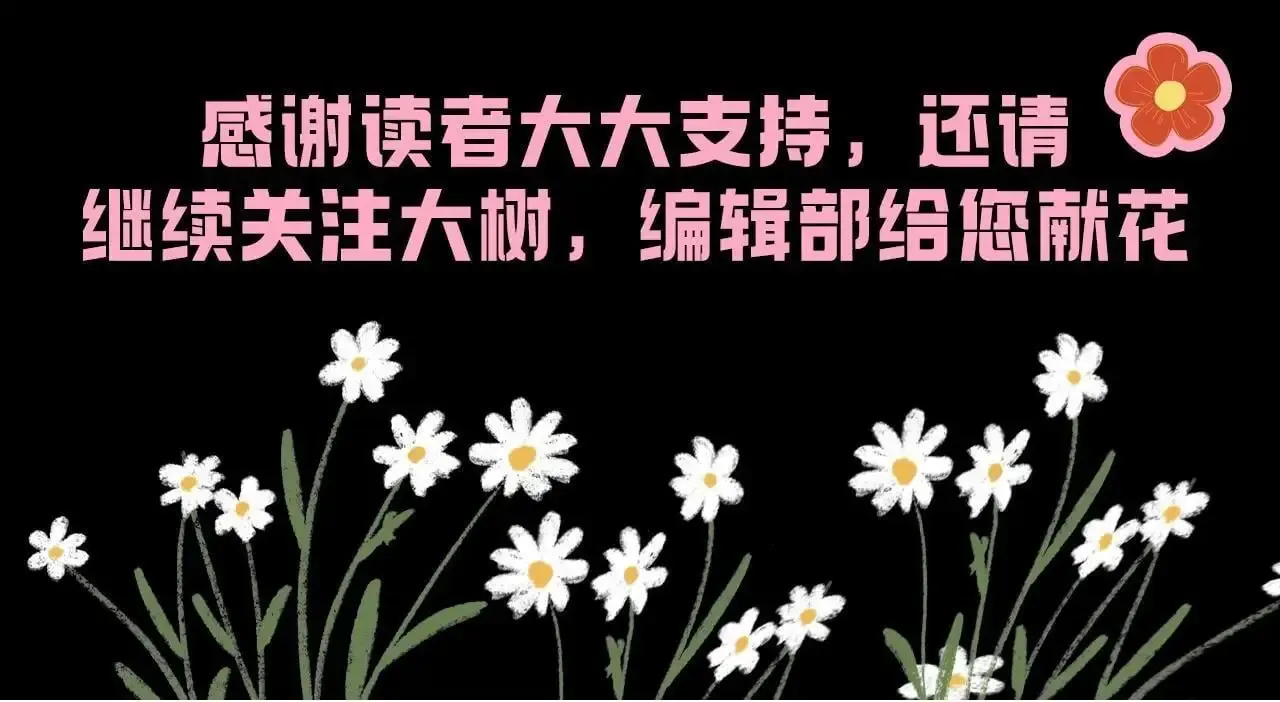 从大树开始的进化 第4期 论如何饲养迷雾山脉的初始哈基米 第19页