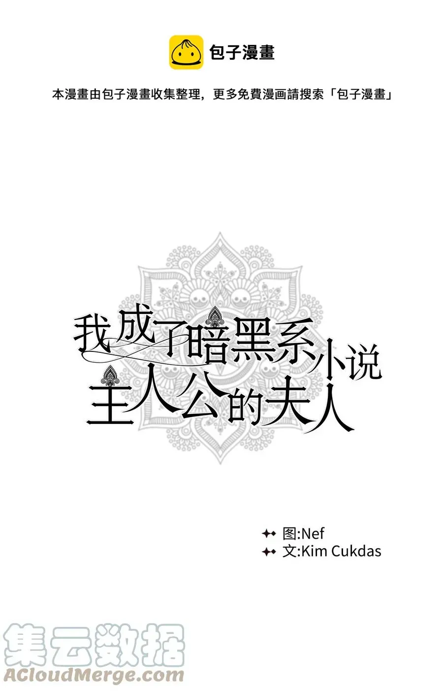 我成了暗黑系小说主人公的夫人 33 你的名字 第1页