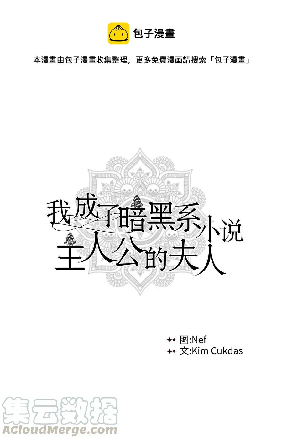 我成了暗黑系小说主人公的夫人 13 怀疑 第1页