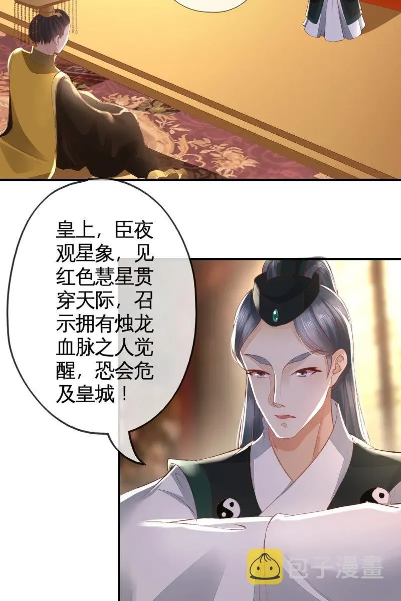 半妖王妃 烛龙血脉觉醒 第23页