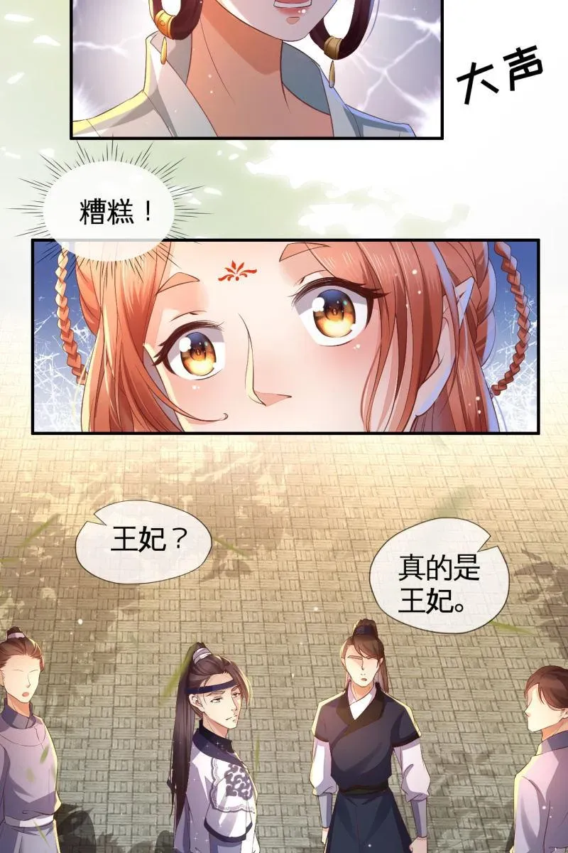 半妖王妃 王妃怀孕了！？ 第26页