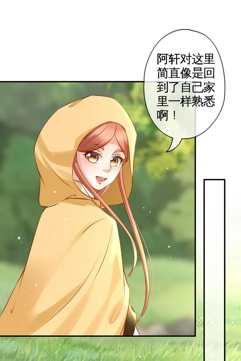 半妖王妃 阿轩的危机？ 第28页