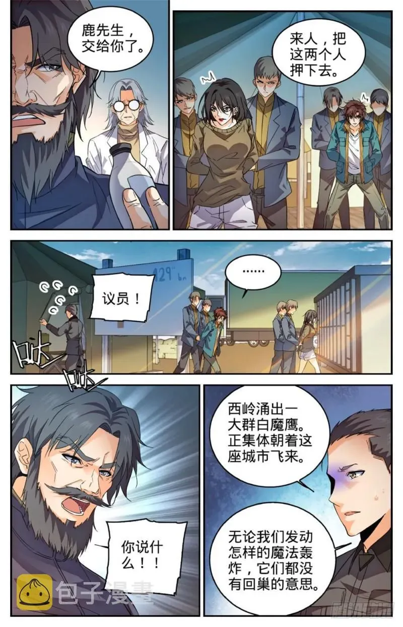 全职法师 274 白魔鹰来袭 第10页