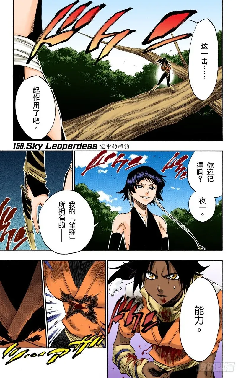 死神/BLEACH（全彩版） 空中的雌豹 第1页