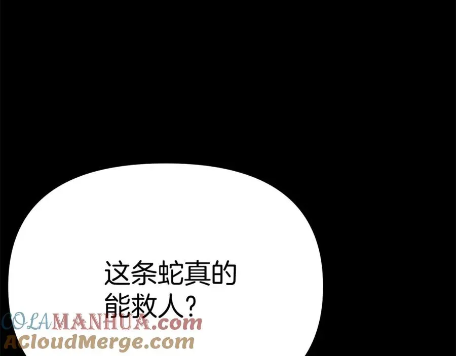 我在死敌家当团宠 第45话 记忆的代价 第157页