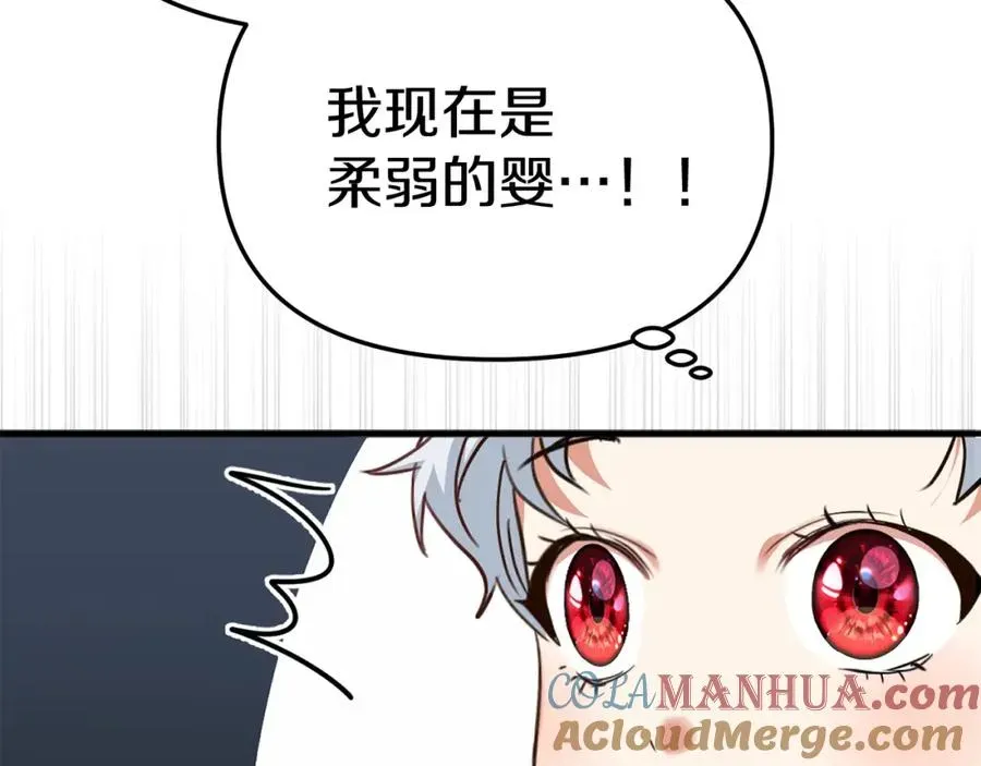 我在死敌家当团宠 第4话 萌娃是间谍！？ 第213页