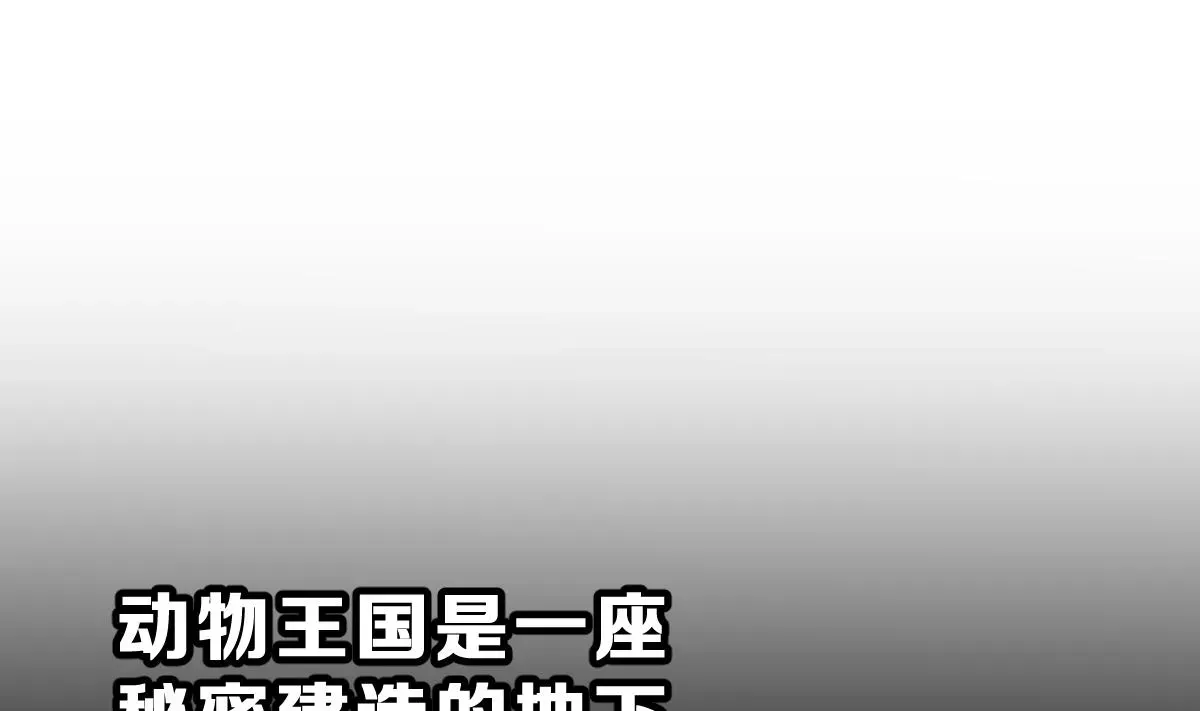 动物为王 第49话 背叛者 第50页