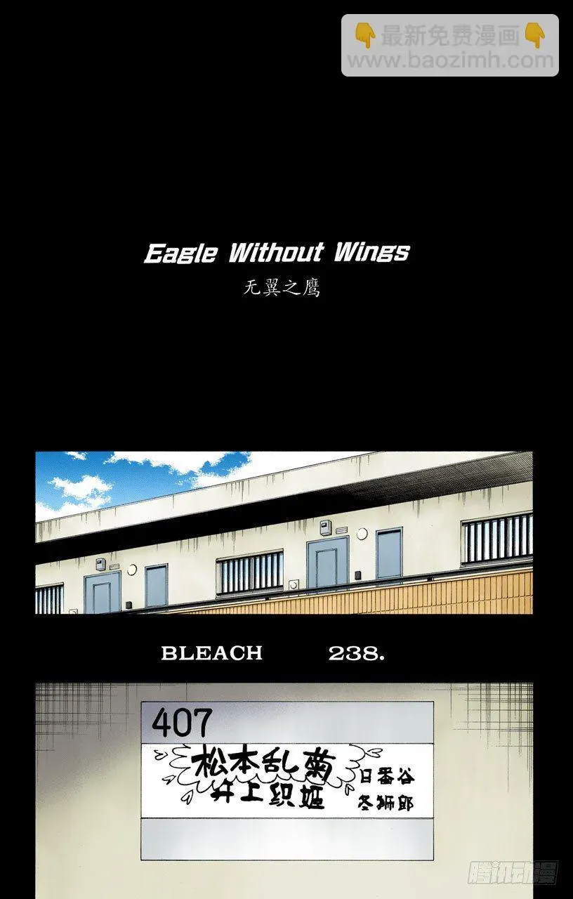 死神/BLEACH（全彩版） 无翼之鹰 第4页